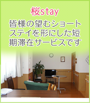 桜stay