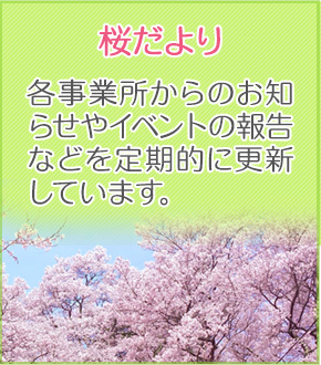 桜だより